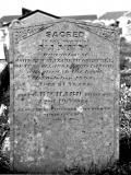 image of grave number 61097